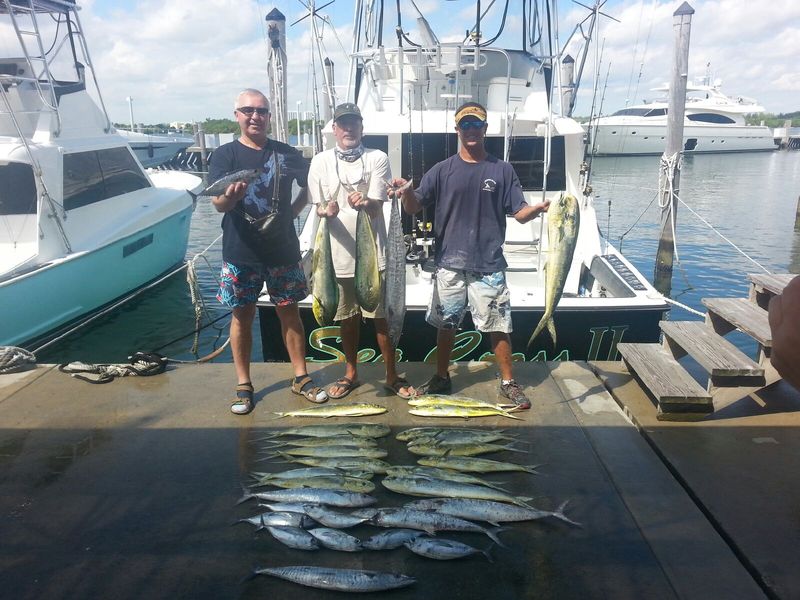 Kingfish On The Reef, Mahi &amp