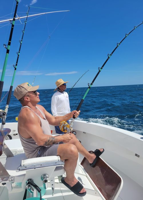 Birds Find Mahi-Mahi on the Reef